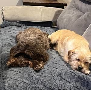 Meet your Posher, Denise